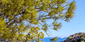 Μικρή άνοδος της θερμοκρασίας την Πέμπτη – Τοπικές βροχές και καταιγίδες στα βόρεια