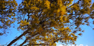 Παρατεταμένο καλοκαίρι! Ζέστη και λιακάδα την Τρίτη 23 Σεπτεμβρίου