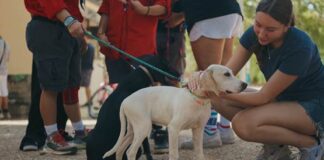 Μεγάλη επιτυχία η 3η Γιορτή Υιοθεσίας Αδέσποτων στα Βριλήσσια