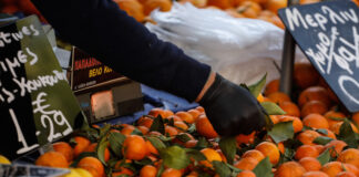 Νέο μέτρο για τις τιμές τροφίμων: Από το χωράφι στο ράφι