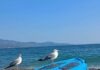 Αίθριος καιρός με ήπιους ανέμους – Μικρή πτώση θερμοκρασίας το Σάββατο 25 Οκτωβρίου 2025
