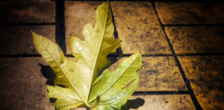 Τοπικές βροχές και καταιγίδες την Τετάρτη — μικρή πτώση της θερμοκρασίας