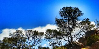 Μετάβαση στο πιο συννεφιασμένο τοπίο: Η Δευτέρα στην Αθήνα