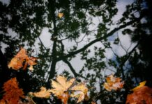 Πρόγνωση Καιρού για την Παρασκευή