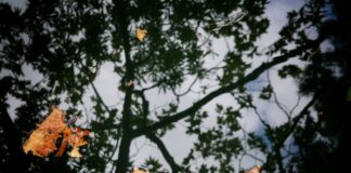 Πρόγνωση Καιρού για την Παρασκευή