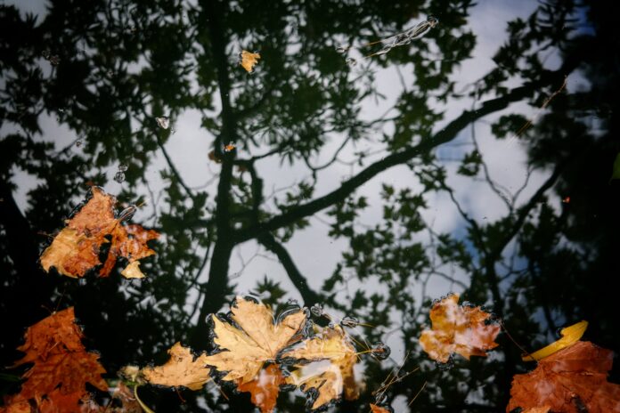 ÖÈÉÍÏÐÙÑÉÍÅÓ ÁÍÔÁÍÁÊËÁÓÅÉÓ(EUROKINISSI/ÃÉÙÑÃÏÓ ÊÏÍÔÁÑÉÍÇÓ)