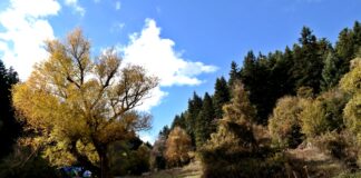 Καιρός: Αίθριος με τοπικές νεφώσεις την Παρασκευή