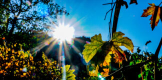 Ο Καιρός για αύριο – Δευτέρα