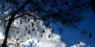 Ο Καιρός το Σάββατο-Τοπικές βροχές και ομίχλες σε ανατολικά και νότια