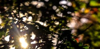 Αίθριος καιρός και τοπικές νεφώσεις – Πρόγνωση Κυριακής