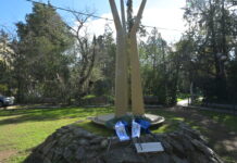 Επιμνημόσυνη Δέηση για τους Ήρωες των Ιμίων στον Παπάγου