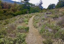 Δέκα νέες σηματοδοτημένες πεζοπορικές διαδρομές στον Υμηττό