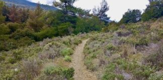 Δέκα νέες σηματοδοτημένες πεζοπορικές διαδρομές στον Υμηττό