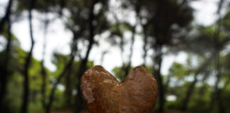 Εθνικό Πάρκο Υγροτόπων Στροφυλιάς