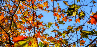Για αύριο Κυριακή προβλέπονται αυξημένες νεφώσεις με τοπικές βροχές