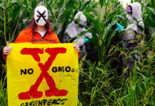 Greenpeace και 34 οργανώσεις ζητούν προστασία από τα νέα μεταλλαγμένα φυτά στην ΕΕ