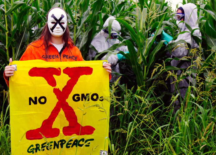 Illegal GE Crops Quarantined in Italy