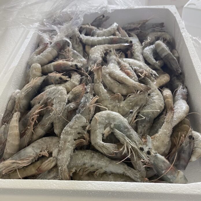 Νίκος Χαρδαλιάς: Νέες κατασχέσεις 5,6 τόνων ακατάλληλων τροφίμων