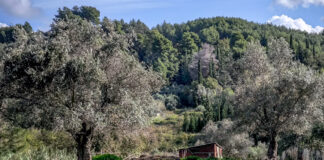 Εθνική αντεπίθεση κατά της ευλογιάς