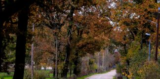 Ανοιξιάτικες θερμοκρασίες με τοπικές βροχές στα δυτικά