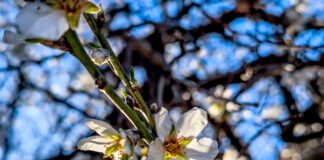 Πρόγνωση Καιρού για την Πέμπτη