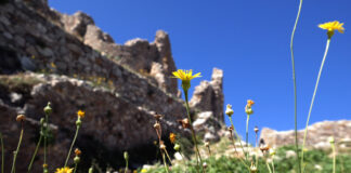 Το Κάστρο του Μυστρά: Διαμάντι της Βυζαντινής Πελοποννήσου