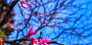 Αίθριος ο καιρός την Πέμπτη – Έως 18 βαθμούς η θερμοκρασία