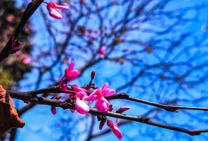 ΚΑΙΡΟΣ (ΓΙΩΡΓΟΣ ΚΟΝΤΑΡΙΝΗΣ/EUROKINISSI)