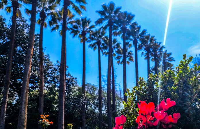 KAIPOΣ (ΓΙΩΡΓΟΣ ΚΟΝΤΑΡΙΝΗΣ/EUROKINISSI)