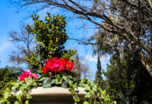 Αίθριος Καιρός με Τοπικές Νεφώσεις και Ήπιες Θερμοκρασίες