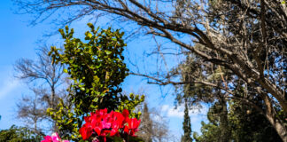 Αίθριος Καιρός με Τοπικές Νεφώσεις και Ήπιες Θερμοκρασίες