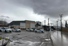 Ειδικές Αστυνομικές Επιχειρήσεις : Κατασχέσεις ναρκωτικών και όπλων