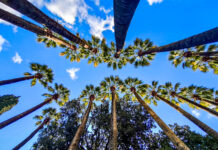 Άνοδος θερμοκρασίας το Σάββατο και βόρειοι άνεμοι έως 6 μποφόρ στο Αιγαίο.