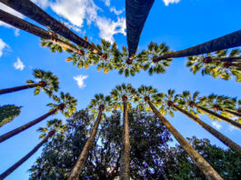 Άνοδος θερμοκρασίας το Σάββατο και βόρειοι άνεμοι έως 6 μποφόρ στο Αιγαίο.