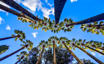 Άνοδος θερμοκρασίας το Σάββατο και βόρειοι άνεμοι έως 6 μποφόρ στο Αιγαίο.