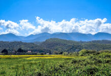 Κυριακή με ήλιο και μικρή άνοδο θερμοκρασίας – Τοπικές βροχές στα νότια