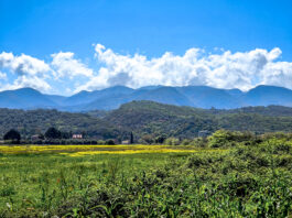 Κυριακή με ήλιο και μικρή άνοδο θερμοκρασίας – Τοπικές βροχές στα νότια