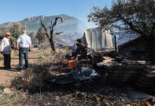 Πυρκαγιά στην περιοχή Πέτρας Βοιωτίας