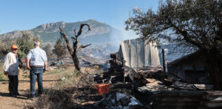 Πυρκαγιά στην περιοχή Πέτρας Βοιωτίας