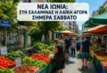 Νέα Ιωνία: Στη Σαλαμίνας η λαϊκή αγορά σήμερα Σάββατο Νέα Ιωνία: Στη Σαλαμίνας η λαϊκή αγορά σήμερα Σάββατο
