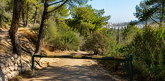 Χαλάνδρι: Περιορισμοί στη Ρεματιά την Κυριακή λόγω κινδύνου πυρκαγιάς κατηγορίας 4 Κλειστή πρόσβαση σε περιαστική ρεματιά με ξηρή θερινή βλάστηση για πρόληψη πυρκαγιάς