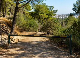 Χαλάνδρι: Περιορισμοί στη Ρεματιά την Κυριακή λόγω κινδύνου πυρκαγιάς κατηγορίας 4 Κλειστή πρόσβαση σε περιαστική ρεματιά με ξηρή θερινή βλάστηση για πρόληψη πυρκαγιάς