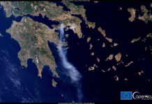 Αττική: Το 38% των δασών χάθηκε σε 9 χρόνια – κρίσιμη η προστασία μέσα στον Αύγουστο Αττική: Το 38% των δασών χάθηκε σε 9 χρόνια – κρίσιμη η προστασία μέσα στον Αύγουστο
