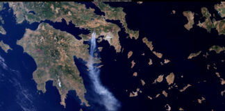 Αττική: Το 38% των δασών χάθηκε σε 9 χρόνια – κρίσιμη η προστασία μέσα στον Αύγουστο Αττική: Το 38% των δασών χάθηκε σε 9 χρόνια – κρίσιμη η προστασία μέσα στον Αύγουστο