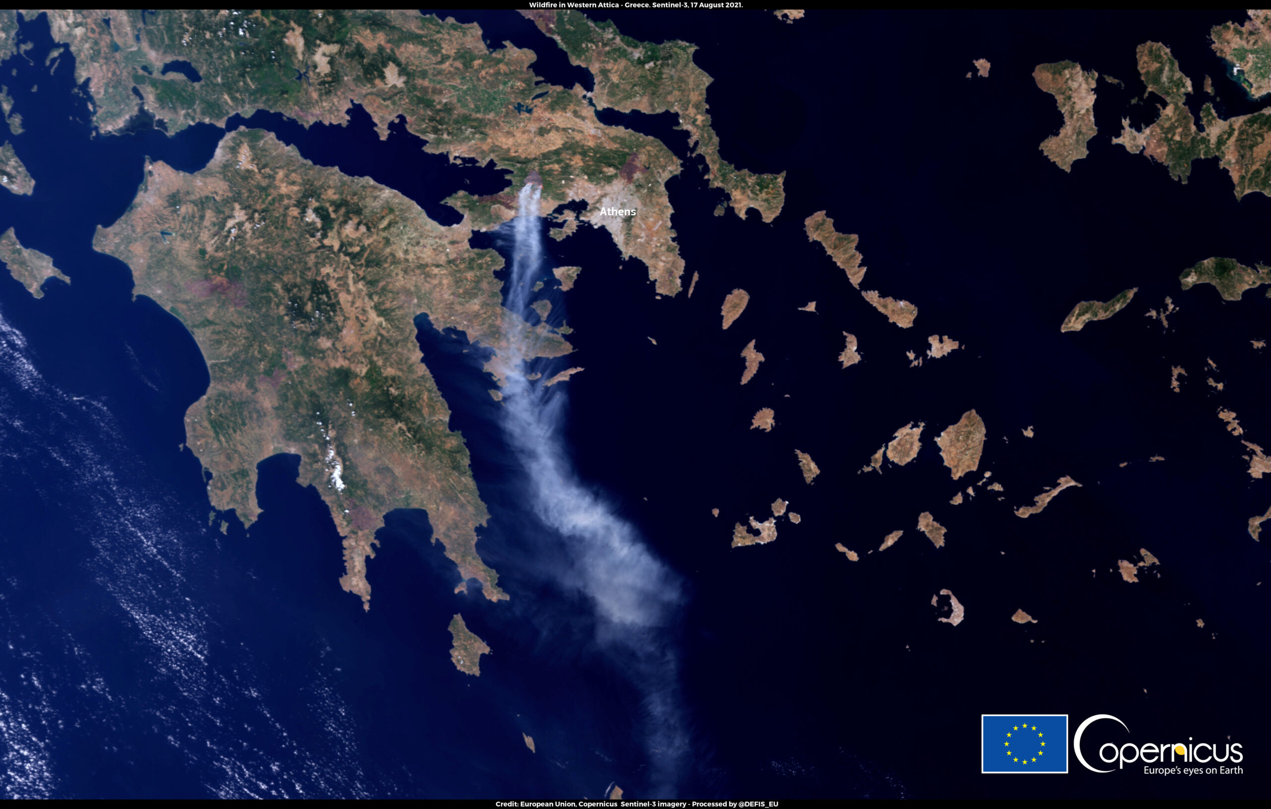Αττική: Το 38% των δασών χάθηκε σε 9 χρόνια – κρίσιμη η προστασία μέσα στον Αύγουστο