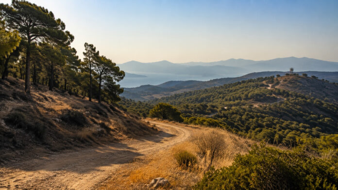 attiki-kindynos-pyrkagias-20260822-0630-1920x1080-1 Ξηρό πευκοδάσος της Αττικής σε συνθήκες αυξημένης πυροπροστασίας