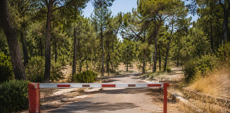 Χαλάνδρι: Red Code σήμερα – Κλειστή η Ρεματιά και περιορισμοί στην Αθανασίου Διάκου Κλειστή είσοδος σε πευκόφυτο αστικό πάρκο λόγω ακραίου κινδύνου πυρκαγιάς