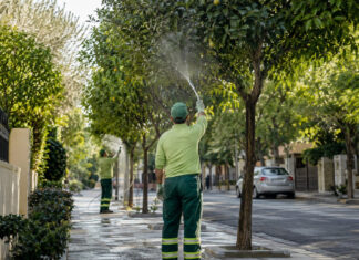 Φιλοθέη–Ψυχικό: Πλύσεις στα εσπεριδοειδή για τον ακανθώδη αλευρώδη Δημοτικά συνεργεία πλένουν τα φύλλα εσπεριδοειδών σε δενδροφυτεμένη γειτονιά