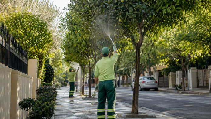 Δημοτικά συνεργεία πλένουν τα φύλλα εσπεριδοειδών σε δενδροφυτεμένη γειτονιά