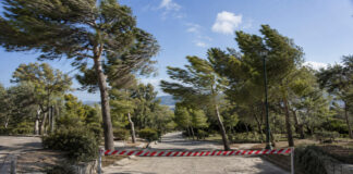 Γαλάτσι: Κλειστό σήμερα το Άλσος Βεΐκου λόγω κατηγορίας κινδύνου 5 Ανεμοδαρμένα πεύκα και προστατευτικό εμπόδιο στην είσοδο αστικού άλσους